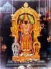Tiruchendur Balasubrahmanya