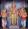 Tiruchendur Senani 