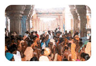 Avani Festival